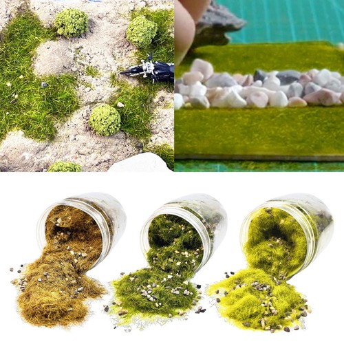Herbe miniature terre - herbe, miniature,
