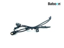 ABS capteur de roue arrière