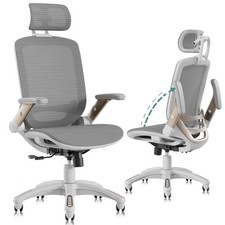 GABRYLLY Ergonomic Office