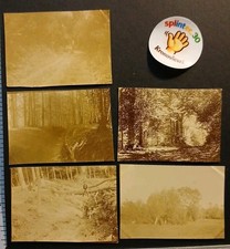 D61 Soligny Bois De La Trappe