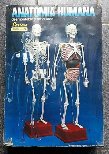 Jeu genre anatomie 2000 - genre,