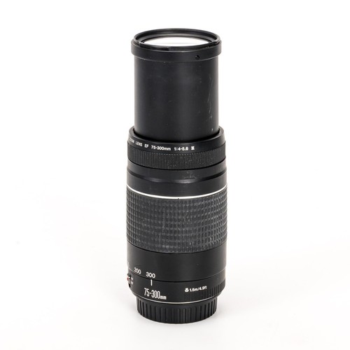 Objectif canon 300 - ef, 75-300
