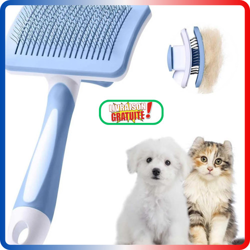 Brosse chat chien - chat, &