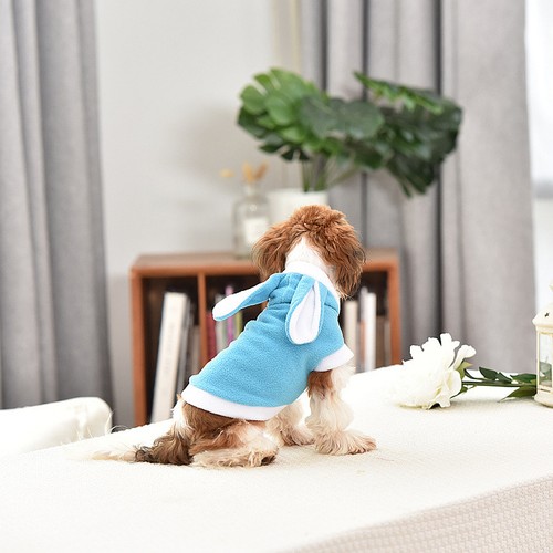 Tenue chien manteau hiver - chien,