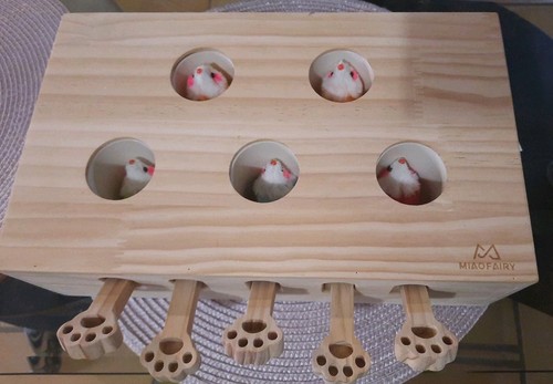 Jeu bois intéractif pour - bois,