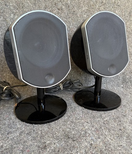 Focal black bird highest - focal,