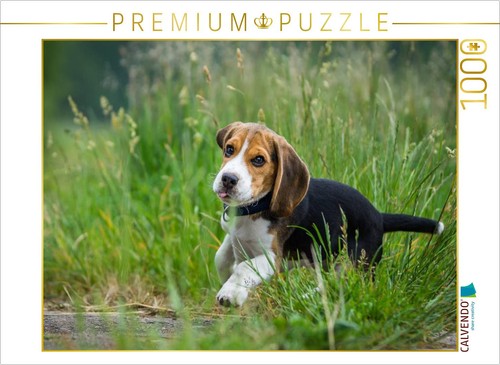 Calvendo puzzle beagle welpe - calvendo,