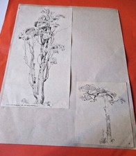 DESSIN Signée JEAN-ADRIEN