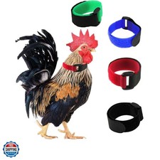 4 Pack No Crow Rooster Collar