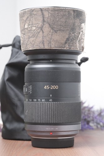 Panasonic lumix vario - g,