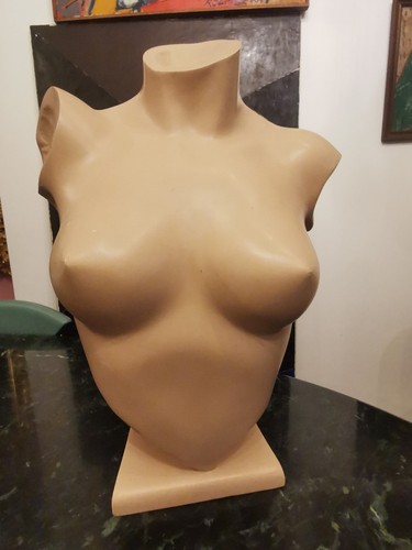 Buste mannequin vintage siegel - mannequin,