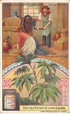 Chromos.AM13296.Liebig.Plantes médicinales.Ricin.Pressage de l'huile
