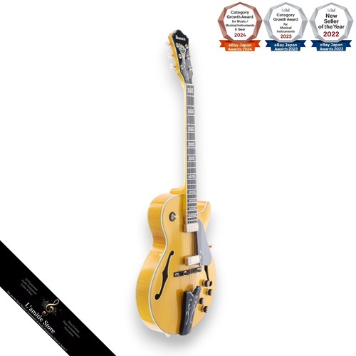 Guitare électrique acoustique