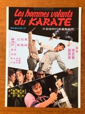 LES HOMMES VOLANTS DU KARATÉ