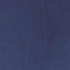 Morceau de cuir de collet