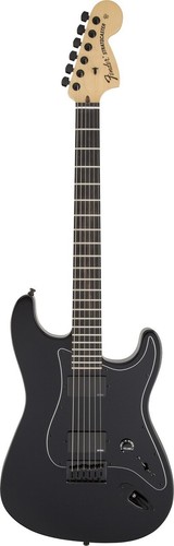 Fender jim root stratocaster - jim,