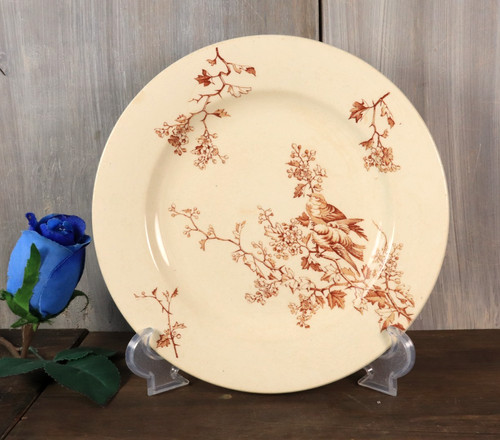 Ancienne assiette terre - ancienne, de