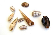 DECORATION ENSEMBLE DE