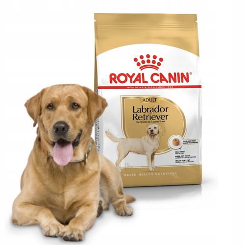 Croquettes pour chien royal - croquettes,