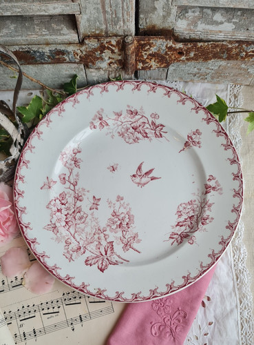 Ancien plat rond - ancien,