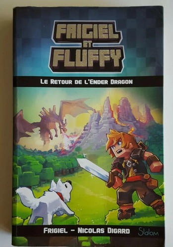 Livre minecraft frigiel - livre,