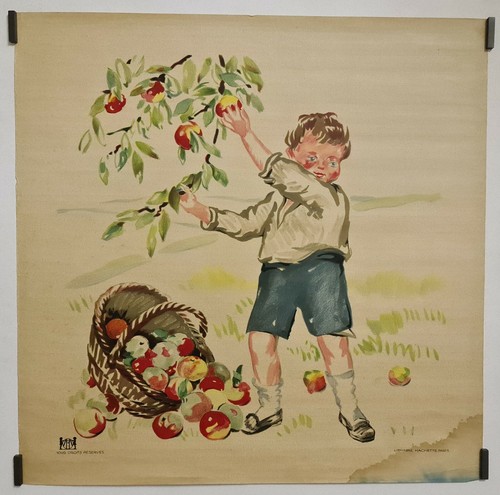 Récolte des pommes - la,