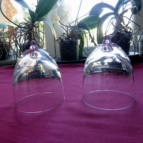 Verres cul sec - sec, cristal