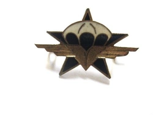 Ancien insigne email chasseurs - ancien,