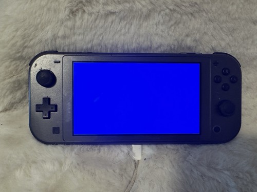 Nintendo switch lite - switch,
