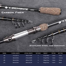 Canne à pêche télescopique