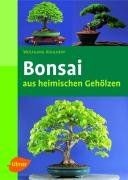Bonsais aus heimischen