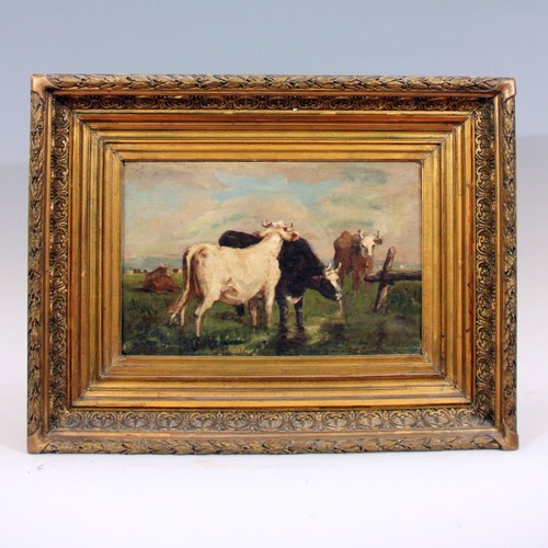 Martin vaches au - martin,