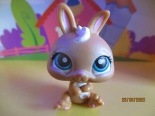 Petshop Lapin Nain #220 /