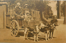 CPA - Laitière Flamande - Attelage de Chiens - Belgique -