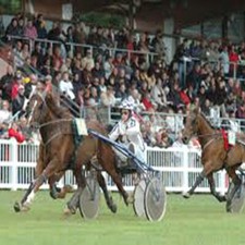 METHODE de TURF: Vol.4  TURF ET ANALYSE DES DONNEES de Chenet (Courses, PMU)