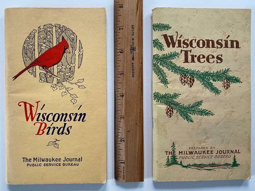 1931 wisconsin birds - 1931,