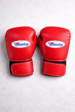 Gants de boxe gagnants MS-200B