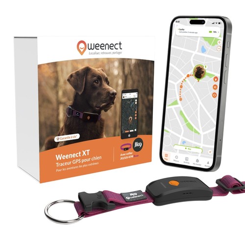 Chien nouveau collier - xt,