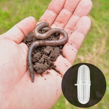  10 Pcs Boite Oeufs Plastique