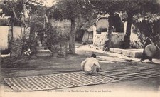 Vietnam - HANOI - Making bamboo mats - Publ. S.C.G.M. 101 - - Viet-Nam - HANOI -