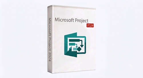 Microsoft project 2024 - project,