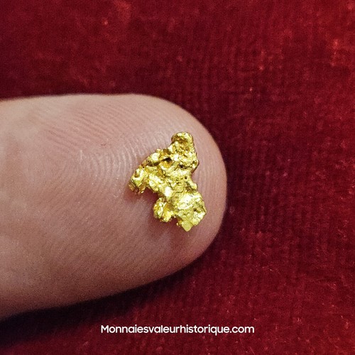 Pépite naturelle - d'or,