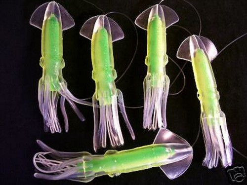 Squid daisy chain - squid,