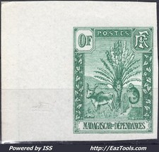 MADAGASCAR ZEBU ESSAI