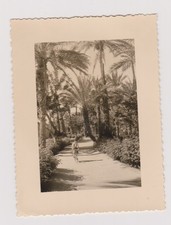 photo ancienne 🎞️ petite