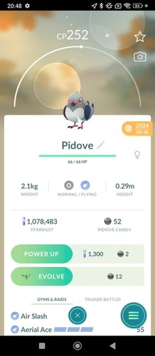 Pidove shiny registred 30 - shiny, or