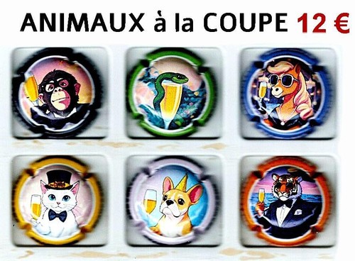 Capsules champagne - de,