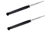 Deux Amortisseurs GAZ