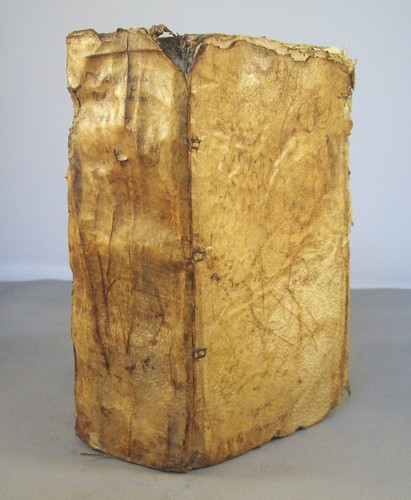 Gonet clypeus theologiae - j.b,