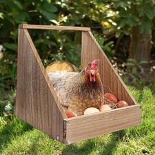 Poulet nidification Ornement